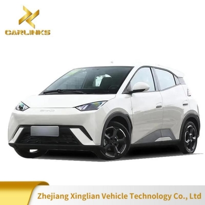 Op maat gemaakte aanvraag 2024 Byd Sea-Gull EV Energy Electric Car met DOT-certificering