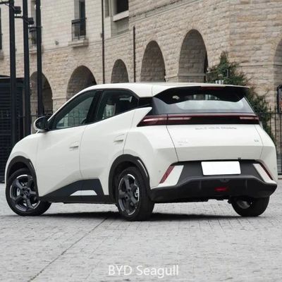Elektrische stuurassistent Type Aanpassing Byd Seagull Tweedehands Auto Energievoertuigen
