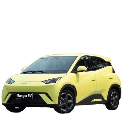 330 kW Maximum Power Ridever Byd Seagull Mini 5X4 SUV Elektrische Auto 2023 Personenauto's