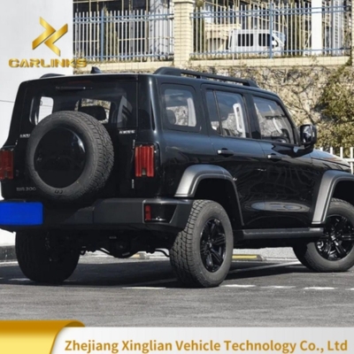 2024 Great Wall Tank 300 2.0t 227PS L4 8at Custom Model Car met 175 Km/H maximale snelheid