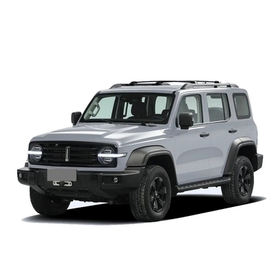 Chinese Tank 300 SUV met 2.0t 227PS L4 8at Custom Model Car in zwarte buitenkleur