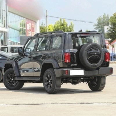 Chinese benzine SUV 2023 Changcheng Tank 300 2.0t 02 met mechanisch remsysteem