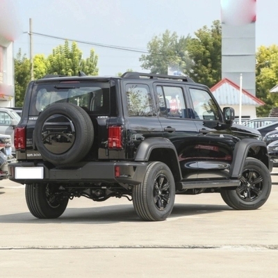Tank 300 Op maat gemaakte aanvraag 5 deuren 5 zitplaatsen Compact size Car by Great Wall Automobile