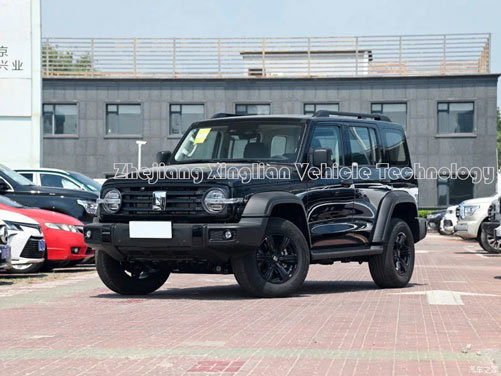 Tank 300 Auto Chinese 8 Speed 227HP 5 zitplaatsen Benzine SUV met mechanisch remsysteem