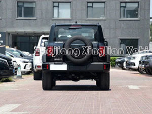 2023 Auto Tank 300 Gwm Front Awd SUV Verplaatsing 1000-1600cc en brandstoflabel nr. 92