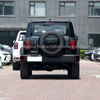 Tank300 2024 SUV 2,0t Great Wall Tank 300 Auto gemaakt met mechanisch remsysteem