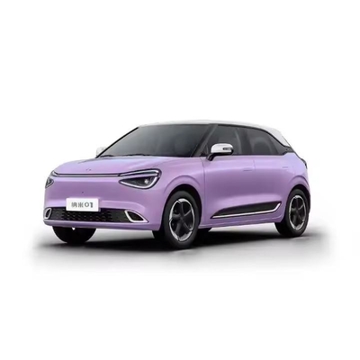 Nano 01 2024 Model 330lite Elektrisch voertuig met linker stuur Maximaal koppel N.M 160