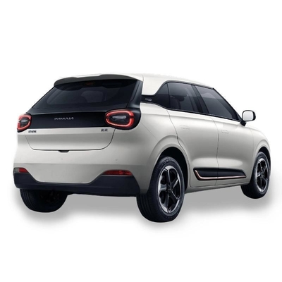 Dongfeng Nano 01 2024 Product Trending Kleine elektrische auto Nammi 01 Mini EV Aanpassing