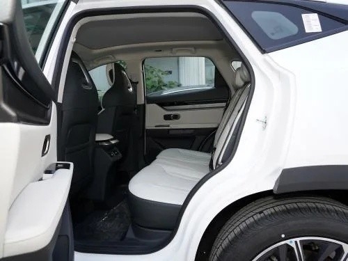 Gemaakt SUV 2023 Model 1.6t 5 deuren 5 zitplaatsen benzinemotor met aanpassing door Jietu Dasheng